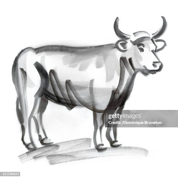 taurus astrological sign, illustration - bull animal stock illustrations