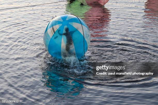 zorbing on water - water walking ball stock pictures, royalty-free photos & images