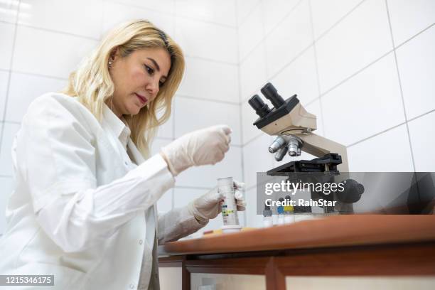 medical technologist working in the laboratory - medical technologist stock pictures, royalty-free photos & images