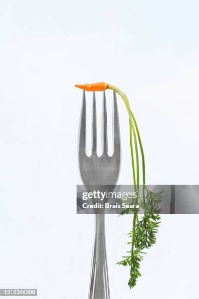 tiny carrot and fork. - alimento genéticamente modificado fotografías e imágenes de stock