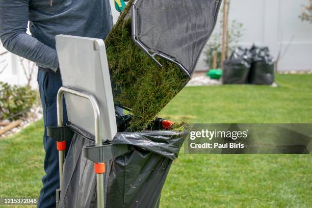 gardener empty mower basket full of cuttings into plastic sack in garden. lawn maintenance concept - lawn fertilizer stock pictures, royalty-free photos & images