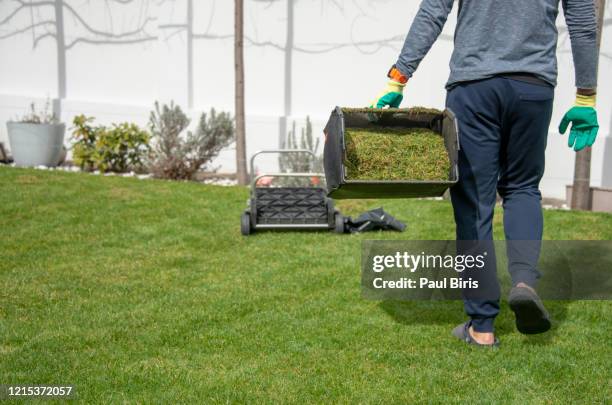 spring season sunny lawn mowing in the garden. man working in garden - lawn fertilizer stock pictures, royalty-free photos & images