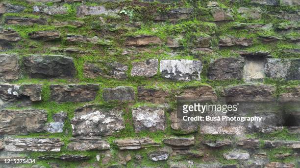 ancient stone wall covered with moss texture in florence, italy - castle background stock pictures, royalty-free photos & images