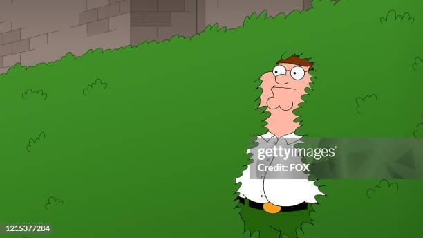 With a newfound love for rocking out to Van Halen, Peter gets in a car accident and falls into a coma in the Coma Guy episode of FAMILY GUY airing...