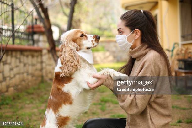 nieuwer alleen als je hond hebt - dog mask stockfoto's en -beelden