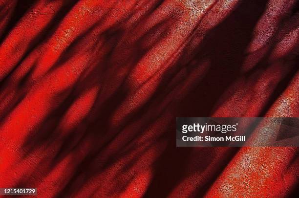 tree branch shadows on a red painted stucco wall (high key saturated colour) - furioso imagens e fotografias de stock