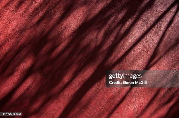 tree branch shadows on a dark red painted stucco wall - bordeaux foto e immagini stock