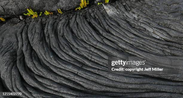 black ropy lava surface - rope lava stock pictures, royalty-free photos & images