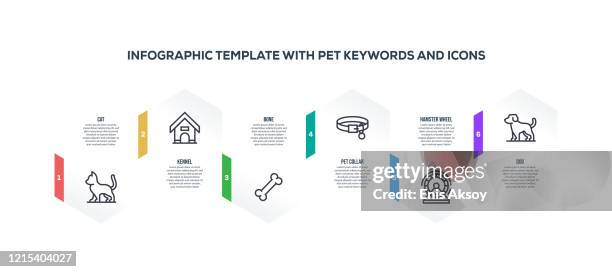 infographic design template with pet keywords and icons - kitten stock illustrations