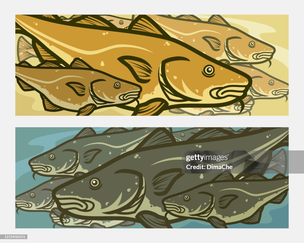 Cod fish. Cartoon Atlantic cod fishes vector background