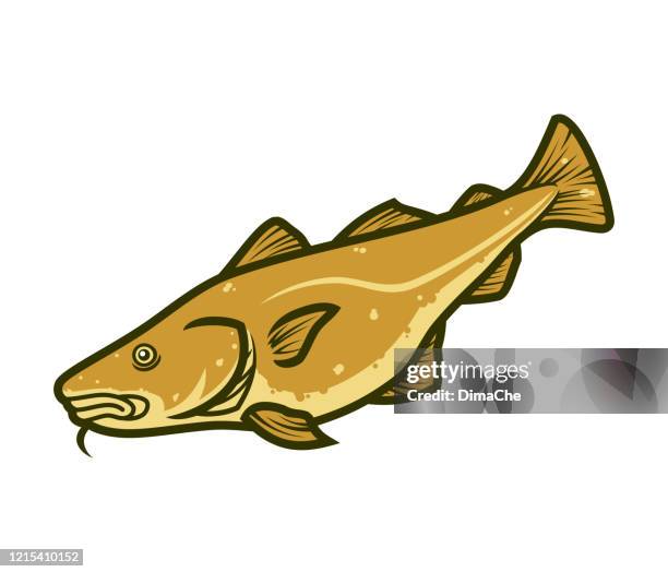 cod fish. atlantic cod cartoon vector - cod stock illustrations