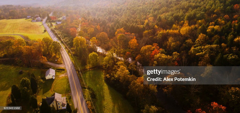 Aerial view of the country road in the forest in the mountain in the autumn foggy morning.