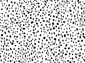 Animal print seamless pattern design with irregular black spots on white background. Dalmatian pattern animal print.
