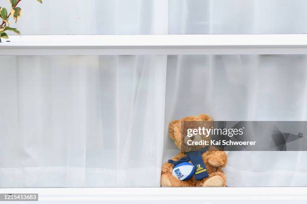 Teddy bear dressed as a Highlanders Super Rugby fan is seen in a window on March 29, 2020 in Christchurch, New Zealand. Inspired by the Michael Rosen...