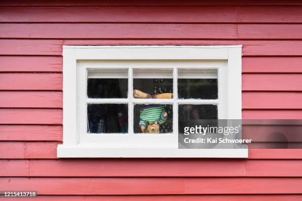 Teddy bear is seen in a window on March 29, 2020 in Christchurch, New Zealand. Inspired by the Michael Rosen children’s book We’re Going on a Bear...
