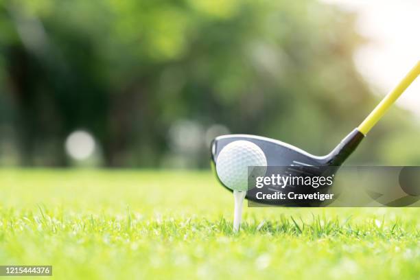 the golf ball 's preparing for a great strike. - golf tee foto e immagini stock