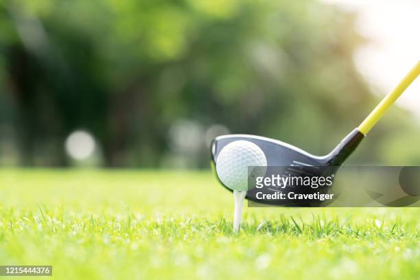 the golf ball 's preparing for a great strike. - golf tee stock pictures, royalty-free photos & images
