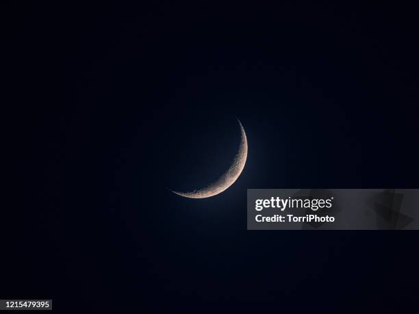 new moon - new moon stock pictures, royalty-free photos & images
