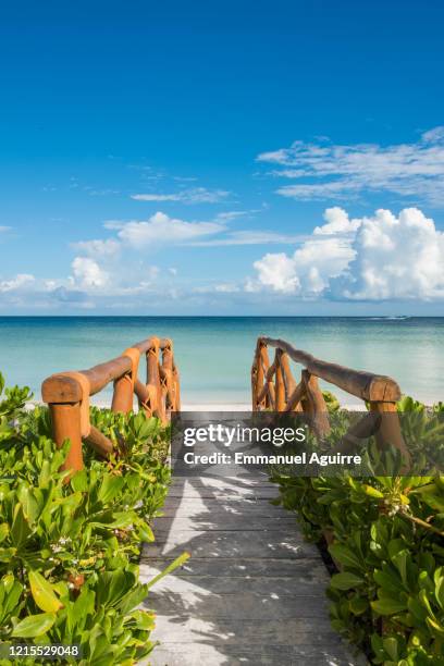 wood pontoon on the beach in front of the sea - holbox fotografías e imágenes de stock