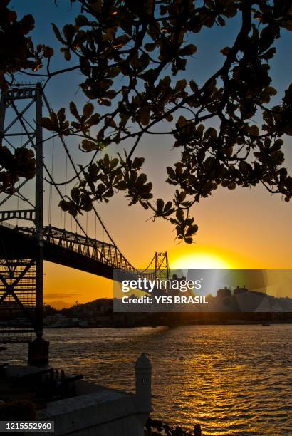 blick auf die hercélio-luz-brücke in florianpolis bei sonnenuntergang. - florianopolis stock-fotos und bilder