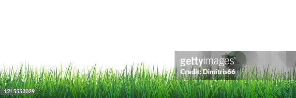green grass seamless border - lawn care stock illustrations