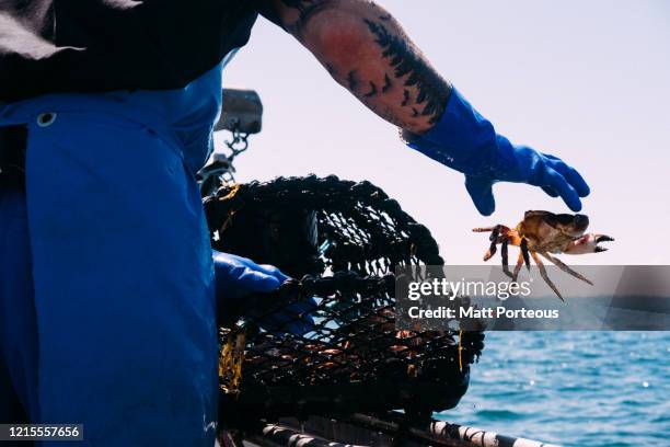 rigid inflatable boat from above - catching fish stock pictures, royalty-free photos & images