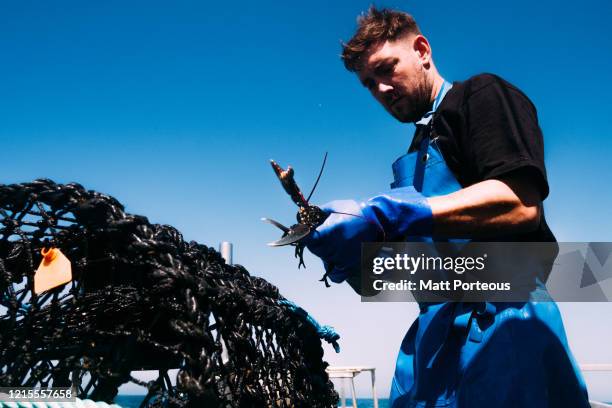 fishermen out at sea - fisherman stock pictures, royalty-free photos & images