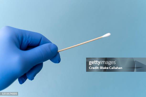 cotton swab held by hand wearing blue medical glove - 綿棒 ストックフォトと画像