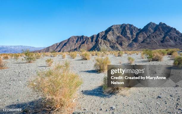 panorama of desert near la quinta - valle coachella foto e immagini stock