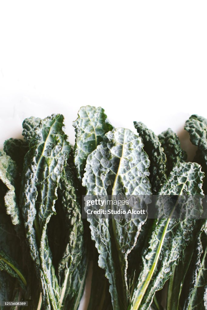Kale Stem and Leaves