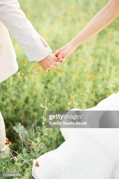 bride and groom holding hands in field - 2 peas in a pod stock pictures, royalty-free photos & images