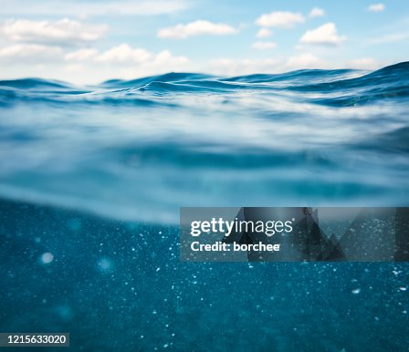 Undersea View Undersea View