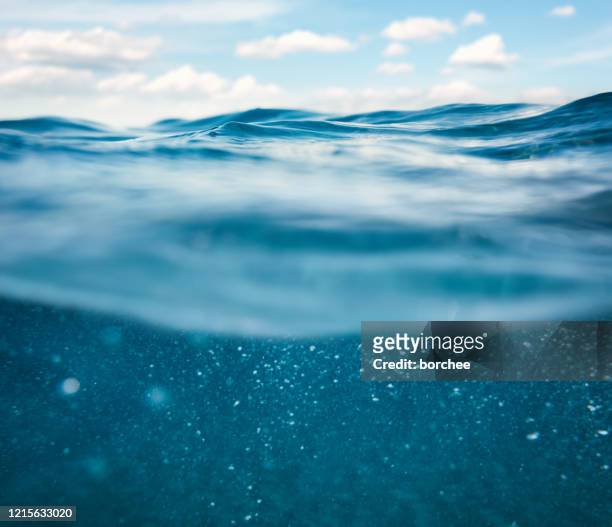vista submara - superfície de água - fotografias e filmes do acervo