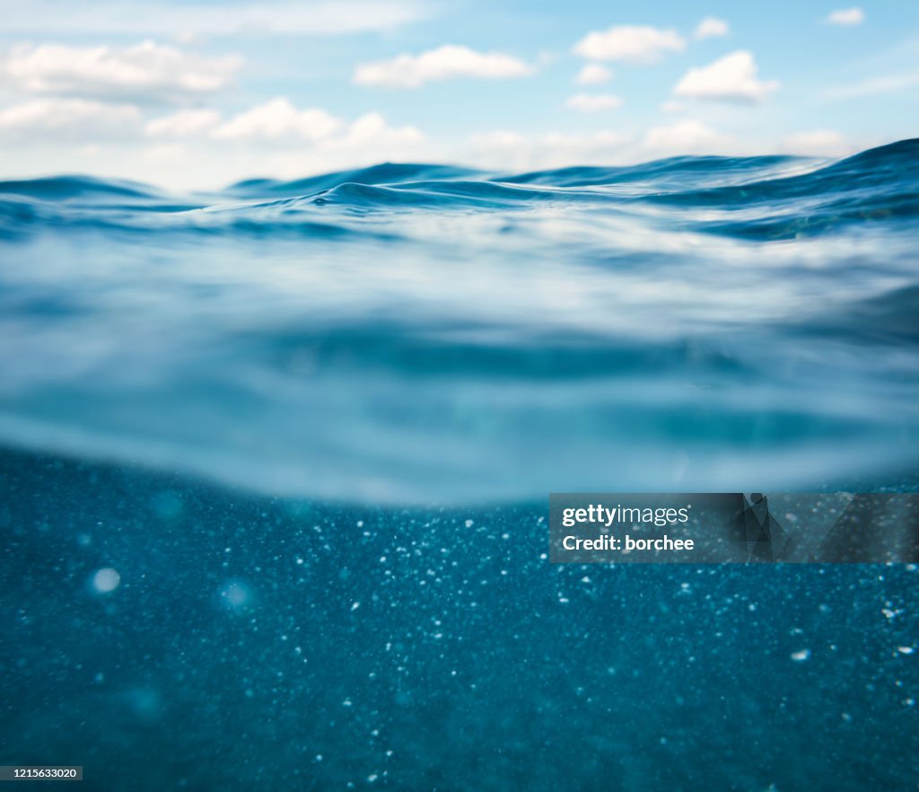 海底景觀