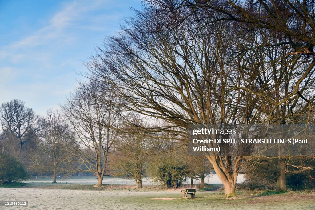 Frost at sunrise