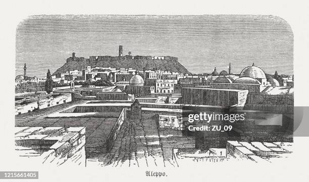 historical view of aleppo in syria, wood engraving, published in 1893 - aleppo citadel stock illustrations