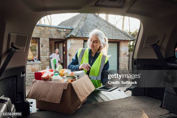 checking over the groceries - woman gratitude stock pictures, royalty-free photos & images