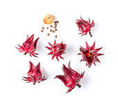 roselle hibiscus on white background. top view