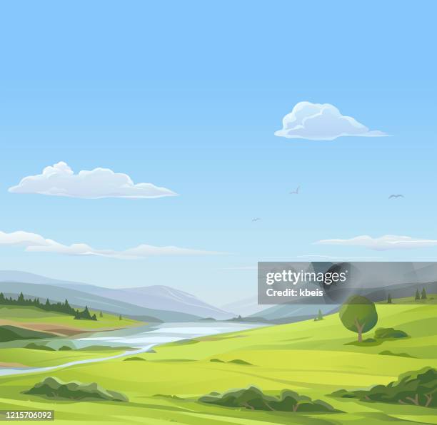 tranquil rural scene - forest morning light stock illustrations