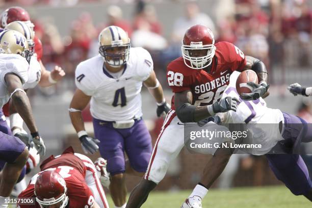 Adrian Peterson of Oklahoma looks for an opening during action between the Washington Huskies and Oklahoma Sooners at Owen Field in Norman, Oklahoma...