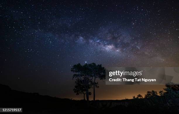 milky way on the hill of pine tree - starry sky scorpio stock pictures, royalty-free photos & images