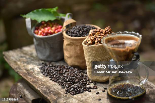 musk coffee selective focus raw coffee beans - arabica kaffee getränk stock-fotos und bilder