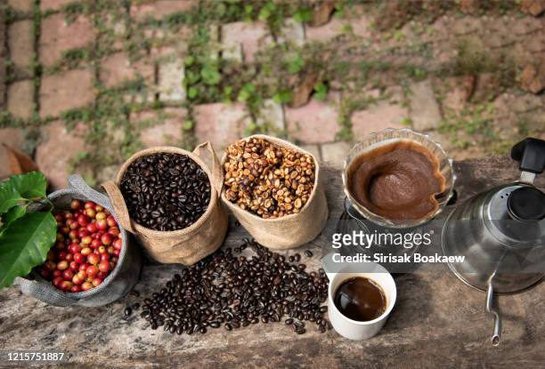 musk coffee selective focus raw coffee beans - caffeine molecule stockfoto's en -beelden