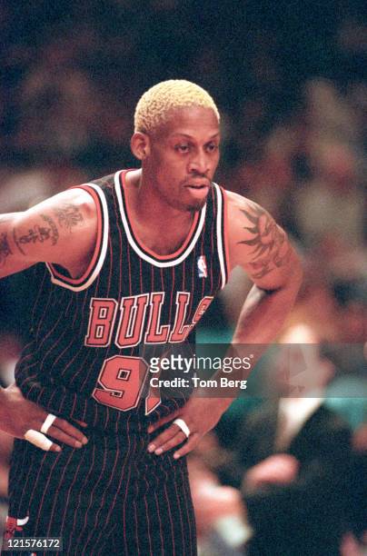Chicago Bulls Dennis Rodman file photos 1996 during NBA - Dennis Rodman - files photos at Madison Square Garden in New York City, New York, United...