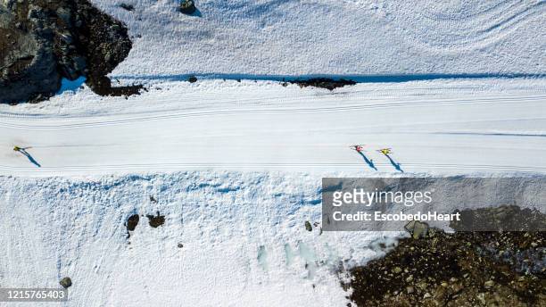esquí de fondo en noruega - esquí 個照片及圖片檔