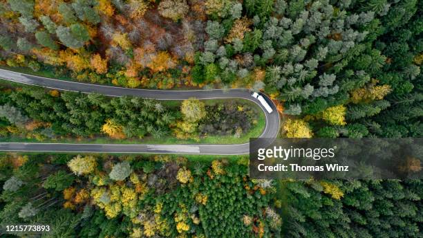 aerial view of winding road through a forest in autumn, baden württemberg,germany - baden baden aerial fotografías e imágenes de stock