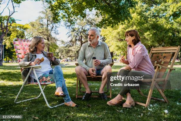 hogere vrienden op picknick - chatting park stockfoto's en -beelden