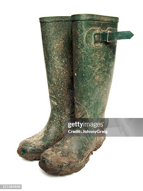 enlameado botas de wellington - rubber boots imagens e fotografias de stock