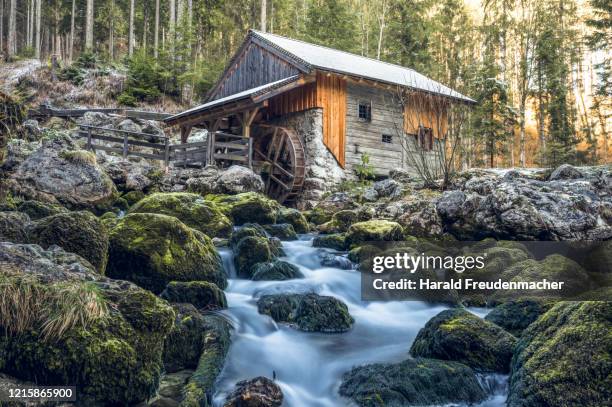 alte wassermühle in golling österreich - wasserrad stock-fotos und bilder