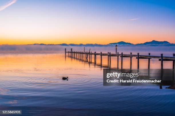 steg am chiemsee beim malerwinkel am sonnenaufgang - lake chiemsee stock-fotos und bilder